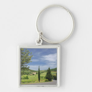 Country road curving between cypress trees in key ring