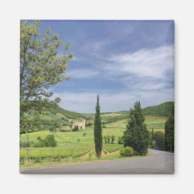 Country road curving between cypress trees in magnet (Front)