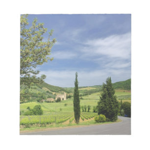 Country road curving between cypress trees in notepad