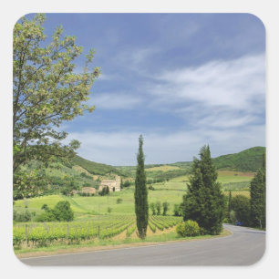 Country road curving between cypress trees in square sticker