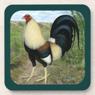Country Road Gamecock Coaster