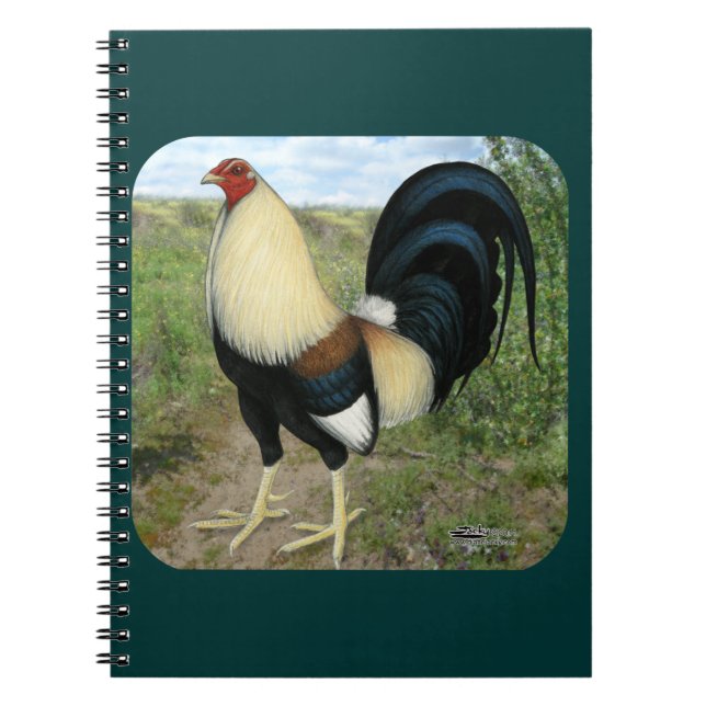 Country Road Gamecock Spiral Notebook (Front)