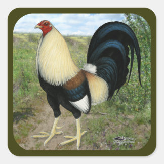 Country Road Gamecock Square Sticker
