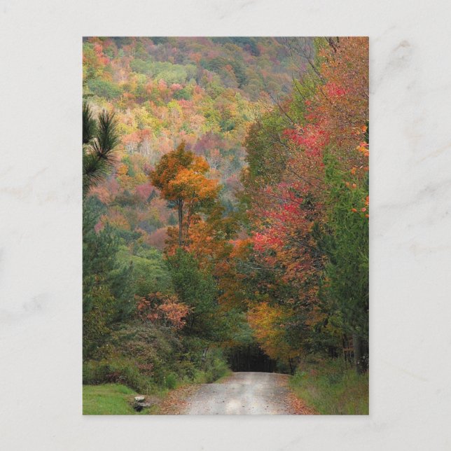 Country Road in Autumn Postcard (Front)