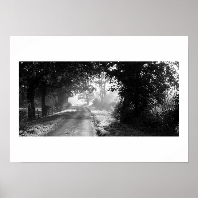 Country Road in Cheshire Poster (Front)