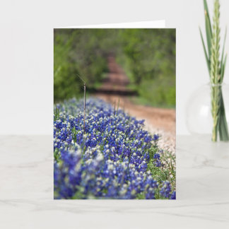Country Road in Spring notecard