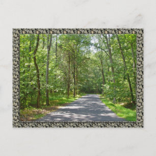 Country Road in Summer Postcard