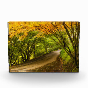 Country Road in the Fall Photo Block