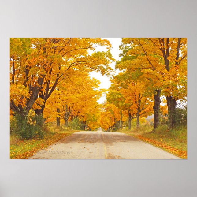 "COUNTRY ROAD LINED WITH MARIGOLD-COLORED TREES" POSTER (Front)