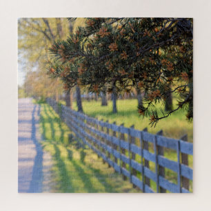 Country Road ... Take Me Home  -  20x20 Jigsaw Puzzle