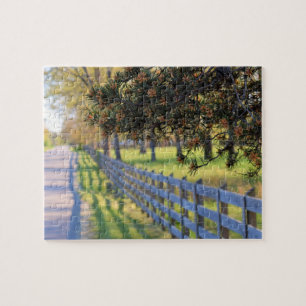 Country Road ... Take Me Home  -  8x10 Jigsaw Puzzle