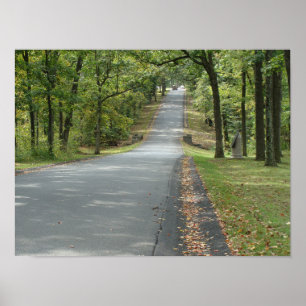 Country road through the trees Wall art. Poster