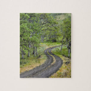Country road through trees, Oregon Jigsaw Puzzle