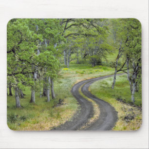 Country road through trees, Oregon Mouse Pad