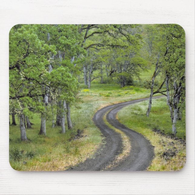 Country road through trees, Oregon Mouse Pad (Front)