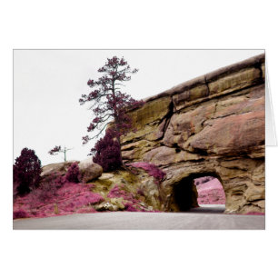 country road tunnel