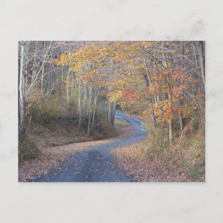 Country Roads Postcard