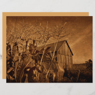 Country Rustic Barn Vintage Brown Farm Texture