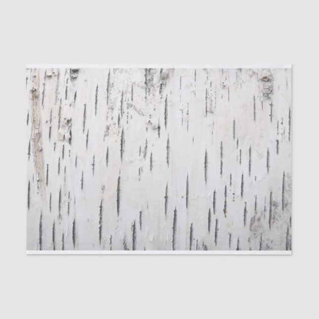 Country Rustic Birch Tree Bark Tissue Paper (Front)