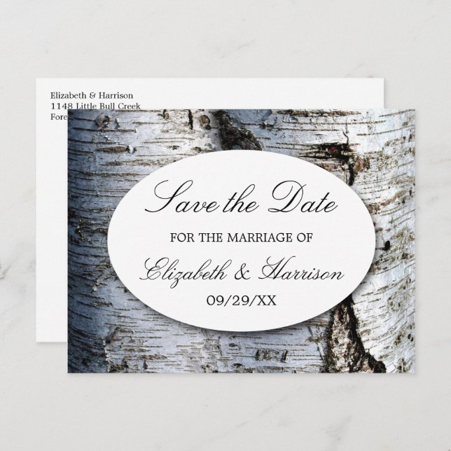 Country Rustic Birch Tree Wedding Save The Date Announcement Postcard (Front/Back)