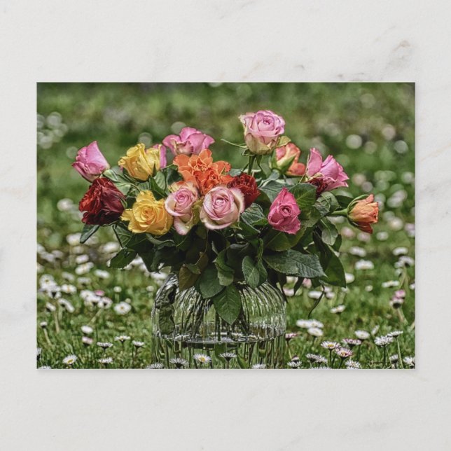 Country Rustic Bouquet Of Roses Postcard (Front)