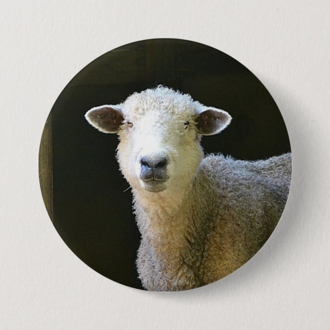 Country Sheep 7.5 Cm Round Badge (Front)