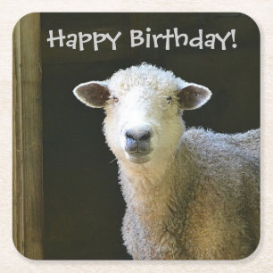 Country Sheep Party Square Paper Coaster
