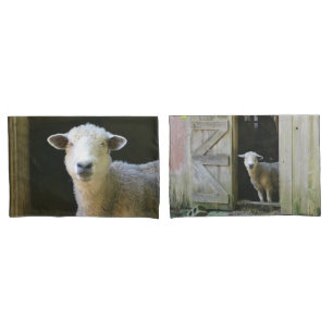 Country Sheep Pillowcase