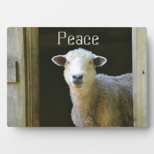 Country Sheep Plaque