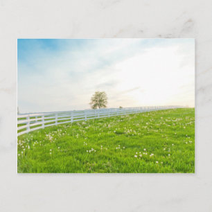 Country spring landscape. postcard
