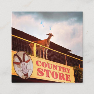 country store goat on the roof square business card