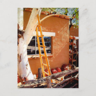 Country Store, Tubac, Arizona Postcard