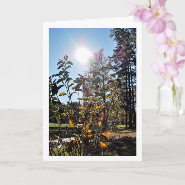 Country Summer Landscape Card (Orchid)