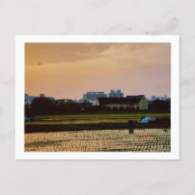 country vibe sunset Spring