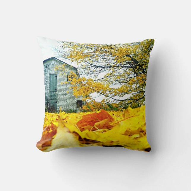 Countryside Barn Cushion (Front)