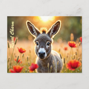 Countryside donkey curious eyes peaceful art postcard