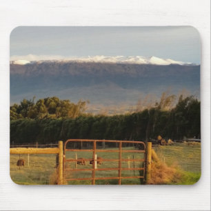 Countryside in Kamuela Mouse Pad