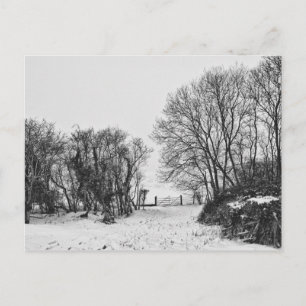 Countryside in the Snow Postcard