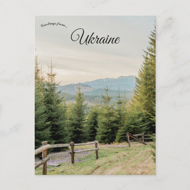 Countryside in Ukraine Postcard (Front)