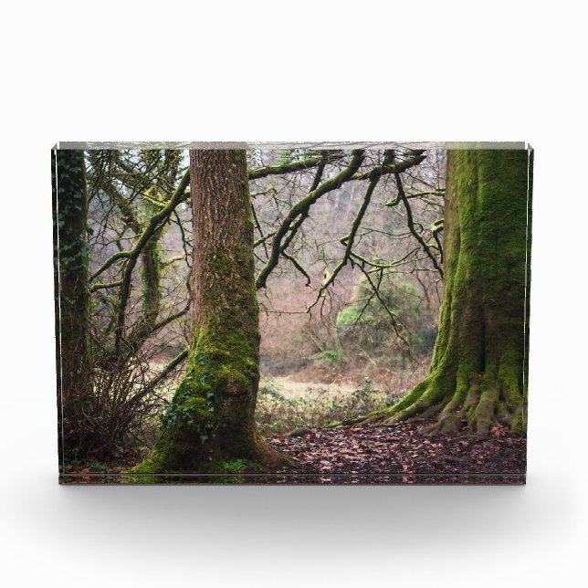 Countryside Magic Photo Block (Front)
