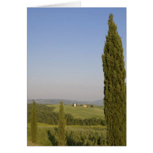 Countryside near Pienza. Val d'Orcia, Siena