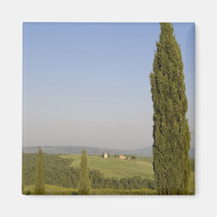 Countryside near Pienza. Val d'Orcia, Siena Magnet