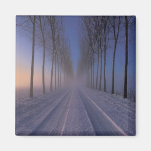 Countryside Nearby Castagnole   Piedmont Italy Magnet