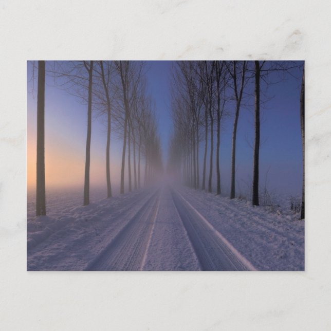 Countryside Nearby Castagnole | Piedmont Italy Postcard (Front)