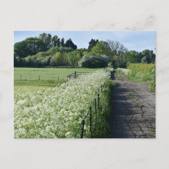 Countryside Postcard (Front)