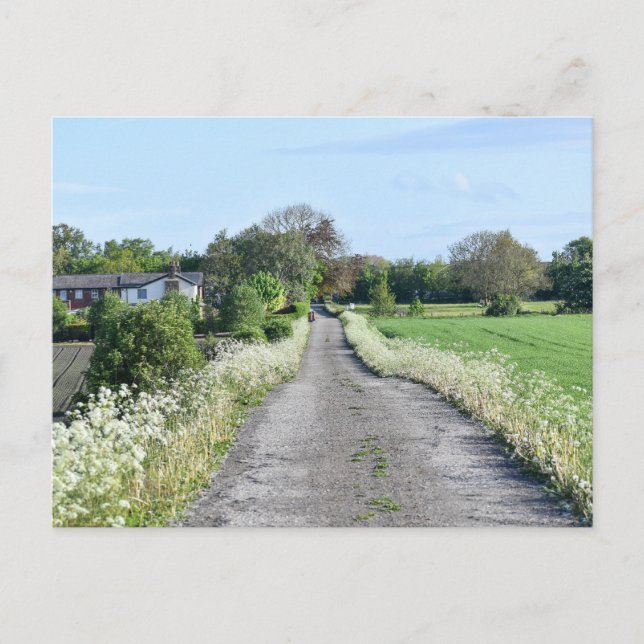 Countryside Postcard (Front)