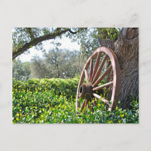 Countryside scene postcard