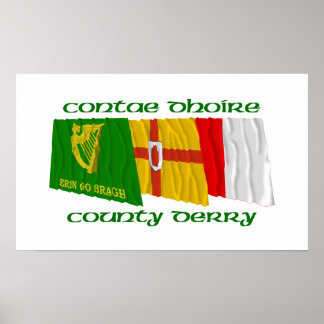 County Derry Flags Poster