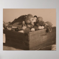 County Fair Blue Ribbon First Prize Fruit In Sepia