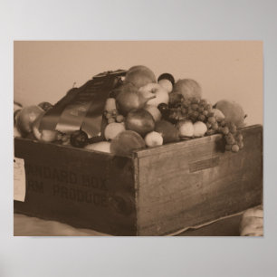 County Fair Blue Ribbon First Prize Fruit In Sepia Poster